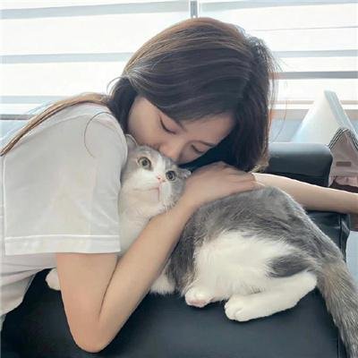 牡丹花血案