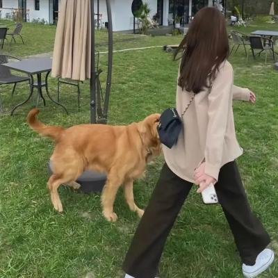 回魂女